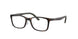 3863 - Tortoise - Clear