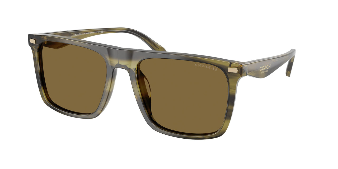 Coach Cby95 8440U Sunglasses