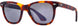 13 - Matte Tortoise - True-Color Gray