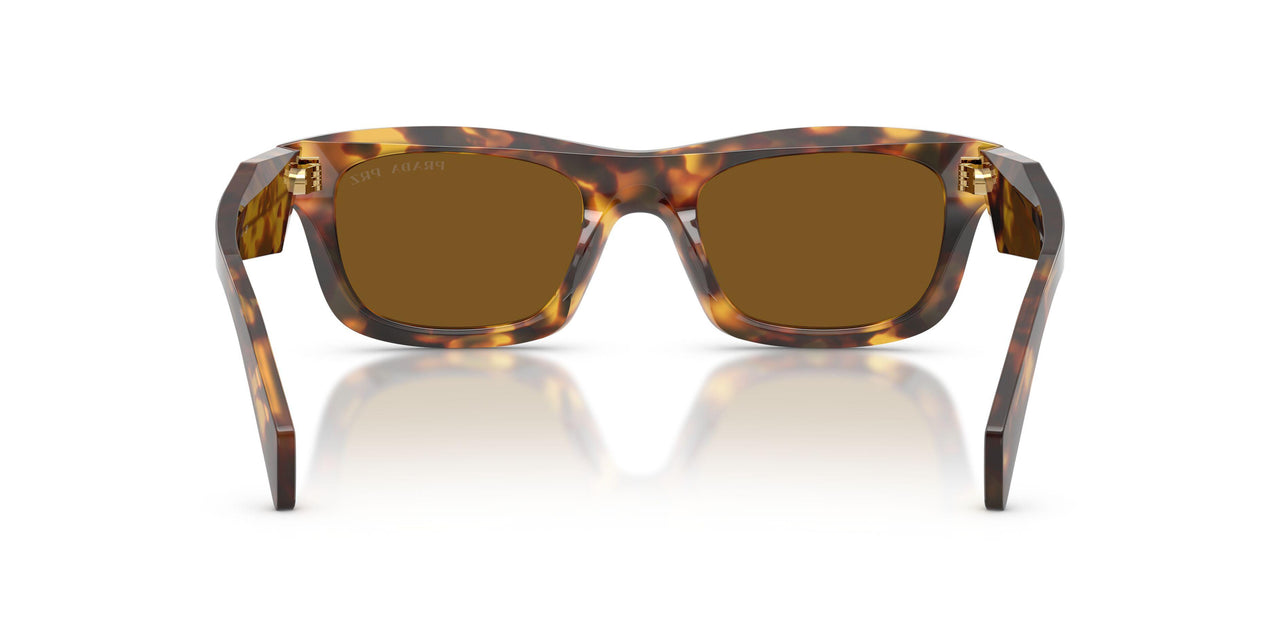 14L10U - Tortoise - Dark Brown Polar