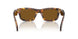 14L10U - Tortoise - Dark Brown Polar