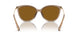 3938T5 - Brown - Brown Gradient Polarized