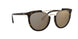 50265A - Havana - Light Brown Mirror Dark Gold