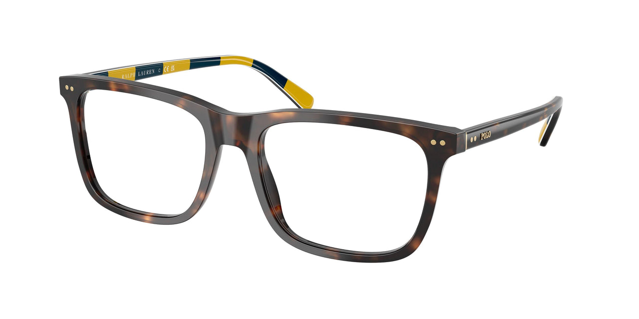 5003 - Tortoise