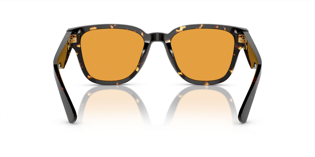 16O20C - Brown - Yellow Polar
