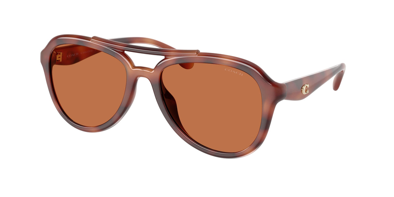 Coach Cw183 8406U Sunglasses