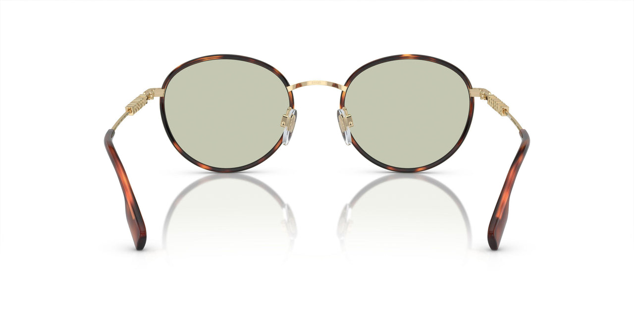 1109/2 - Tortoise - Light Green