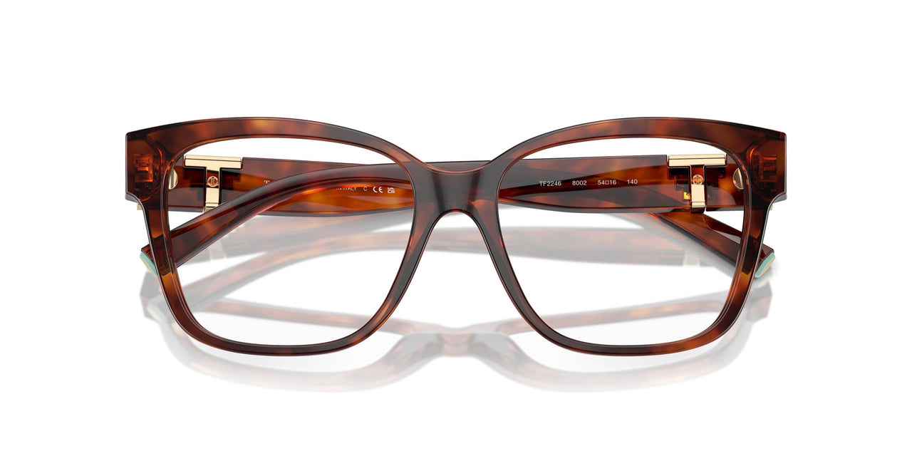 8002 - Tortoise