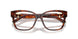 8002 - Tortoise