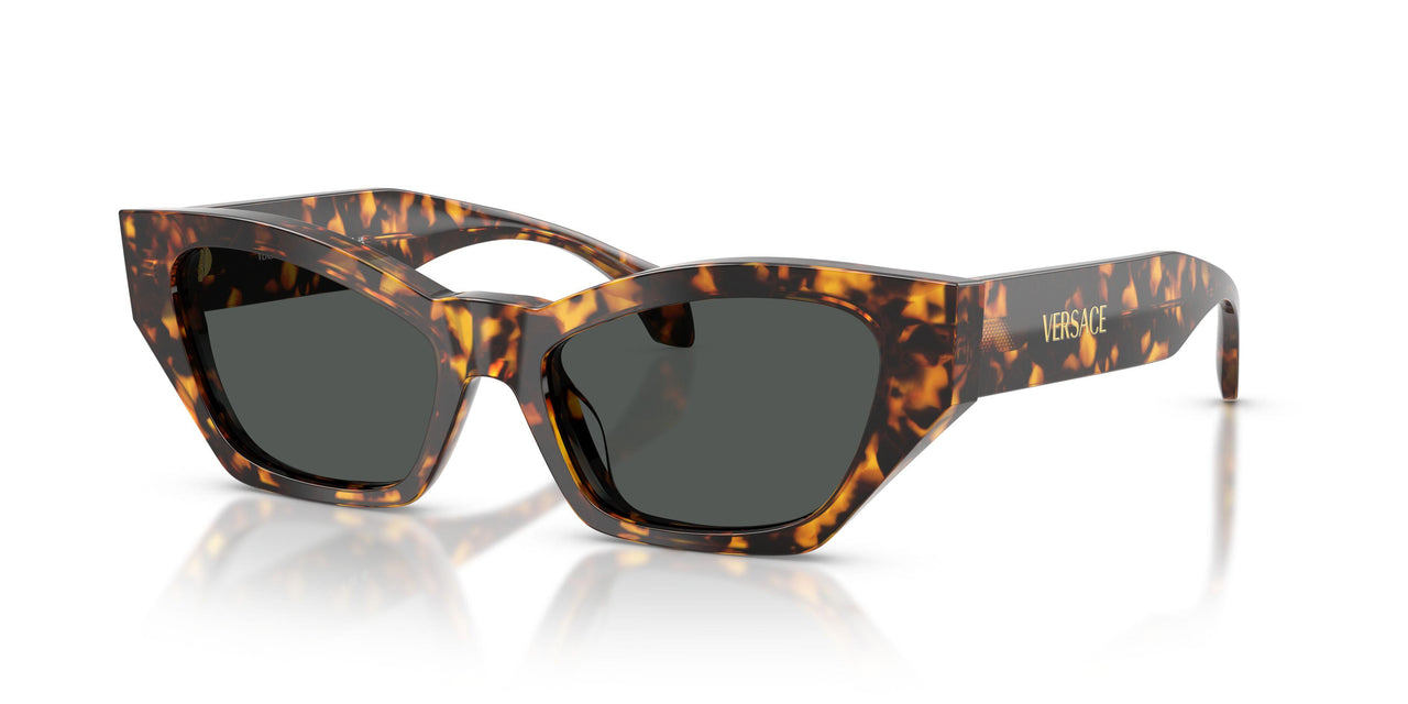 551487 - Tortoise - Dark Grey