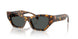 551487 - Tortoise - Dark Grey
