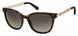 0LLY-94 - Dark Havana - Brown Polarized Ds Lens