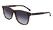 Paul Smith PSSN09054 GIBSON Sunglasses