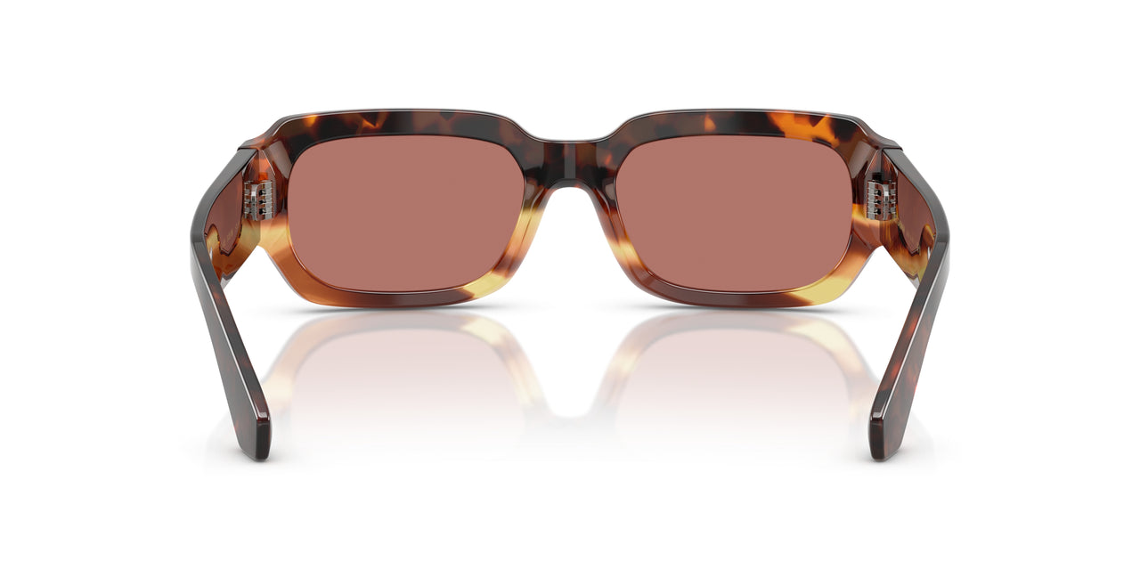 3438M6 - Brown - Bordeaux