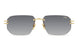 001-00 - gold