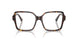 5002 - Tortoise