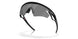 949901 - Black - Prizm Black Polarized