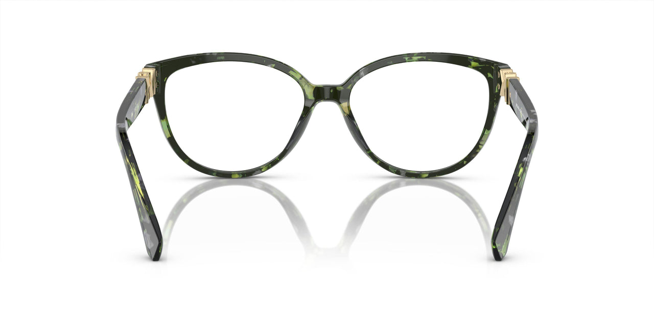 3953 - Amazon Green Tortoise