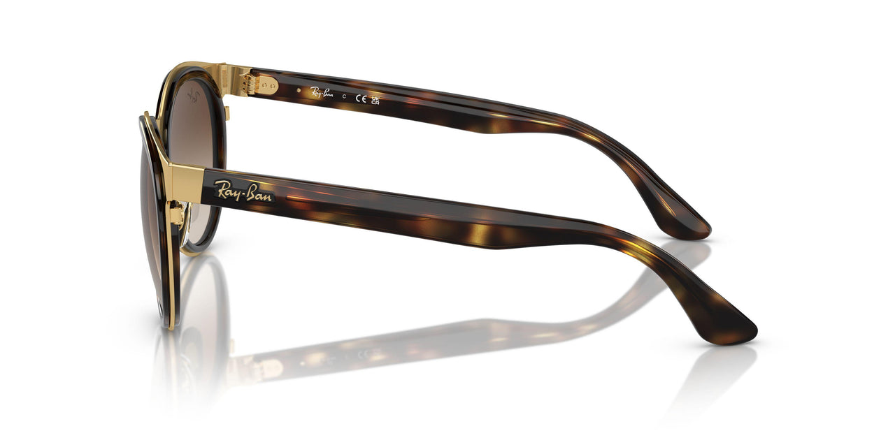 001/13 - Tortoise - Brown