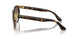 001/13 - Tortoise - Brown