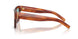 322180 - Tortoise - Blue