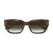 003 - Brown - Brown