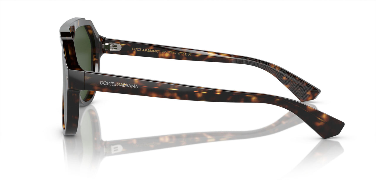 502/71 - Tortoise - Dark Green