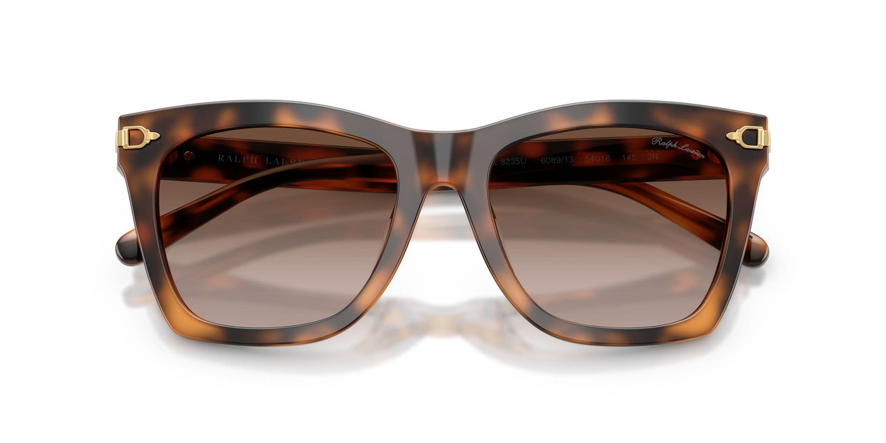 608913 - Tortoise - Gradient Brown