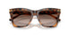 608913 - Tortoise - Gradient Brown