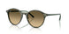 14210A - Multicolor - Brown