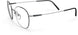 6560 - Plain Ruthenium