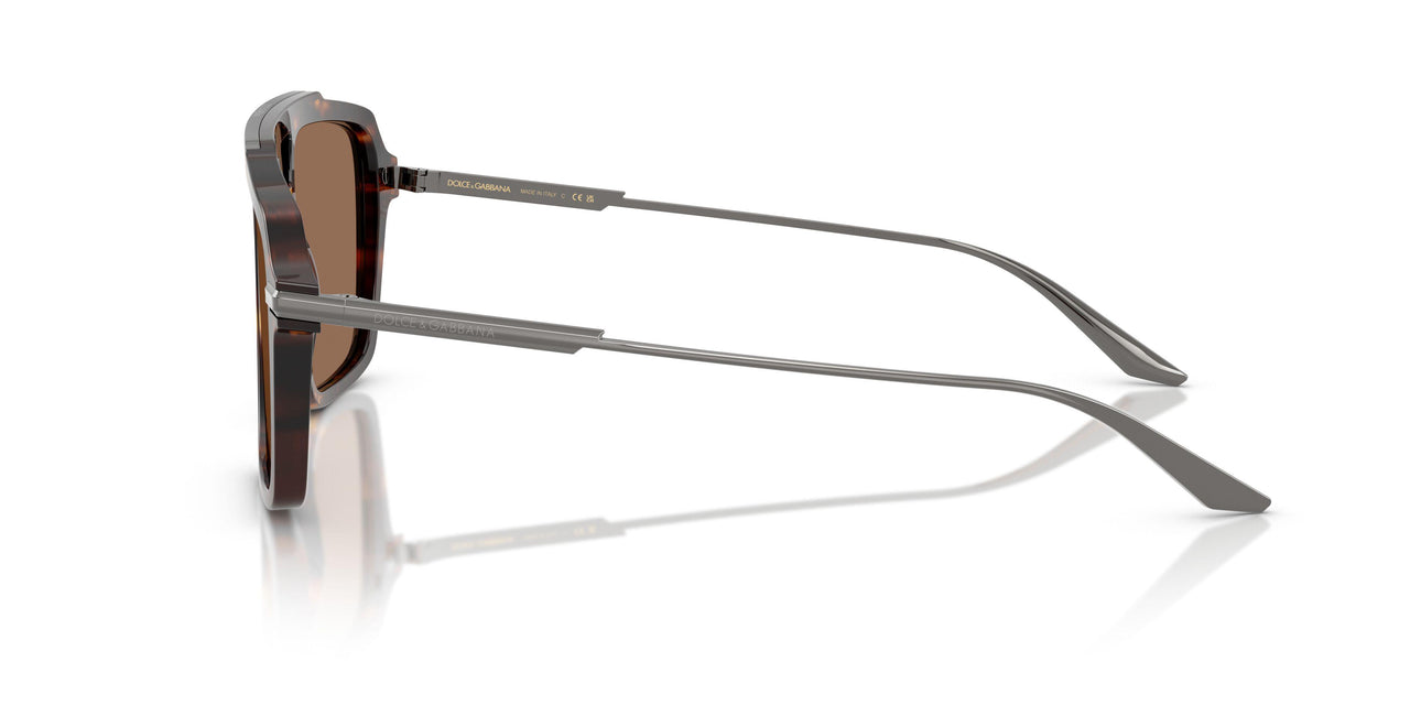 502/73 - Tortoise - Dark Brown
