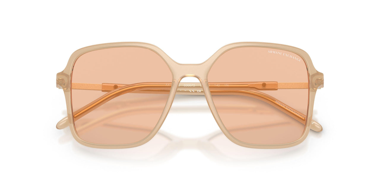 836673 - Brown - Light Brown