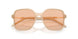 836673 - Brown - Light Brown