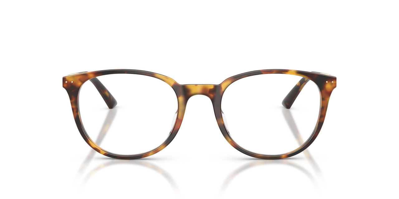 5110 - Tortoise