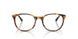 5110 - Tortoise