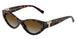 8015T5 - Tortoise - Polar Brown Gradient