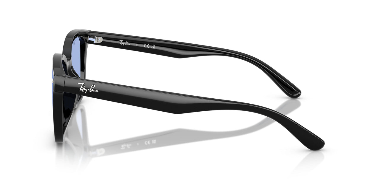 601/80 - Black - Blue