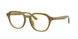 Ray-Ban 7259D Eyeglasses