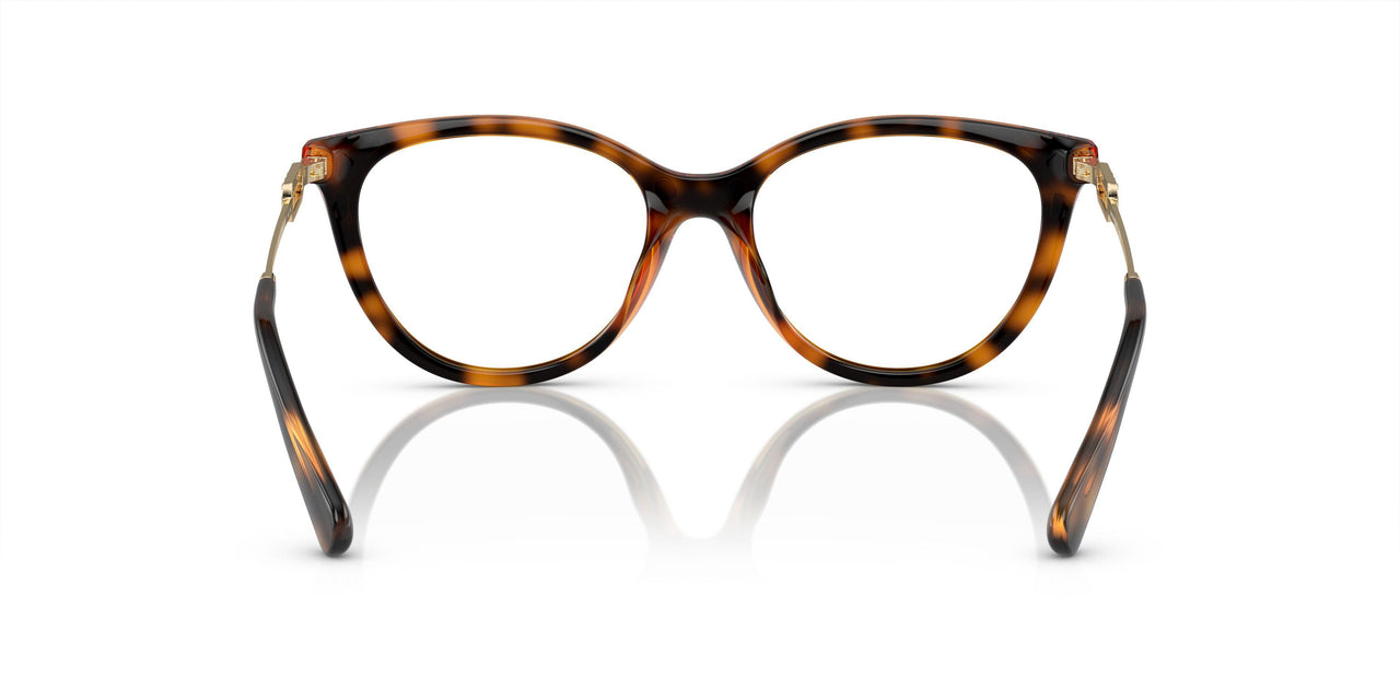 50261W - Tortoise - Clear
