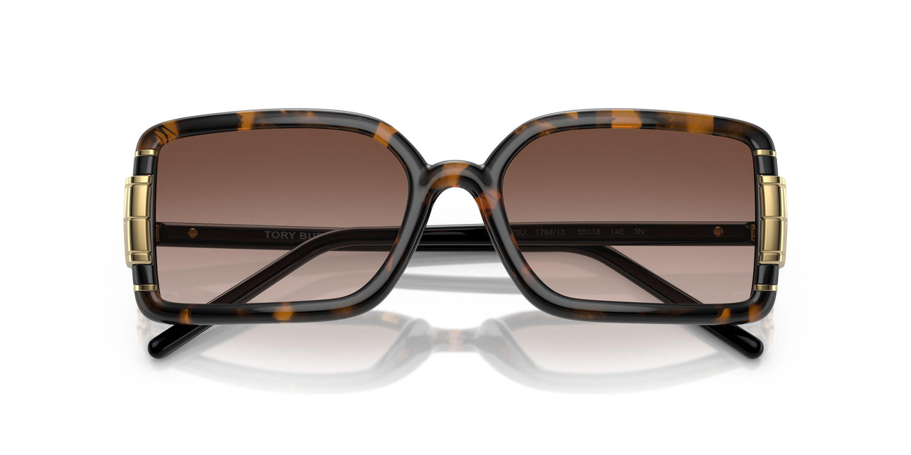 178413 - Tortoise - Gradient Brown