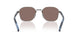 5AV05C - Grey - Polar Light Brown