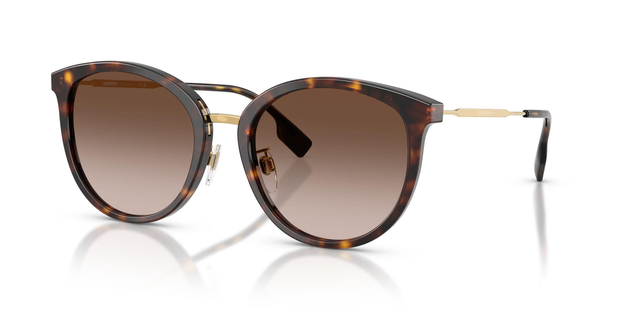 300213 - Havana - Brown Gradient