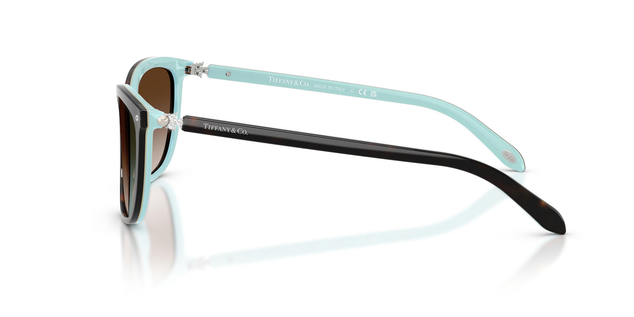 81343B - Havana - Brown Gradient