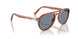 96/56 - Brown - Light Blue