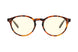 02309300 - Tortoise - Clear
