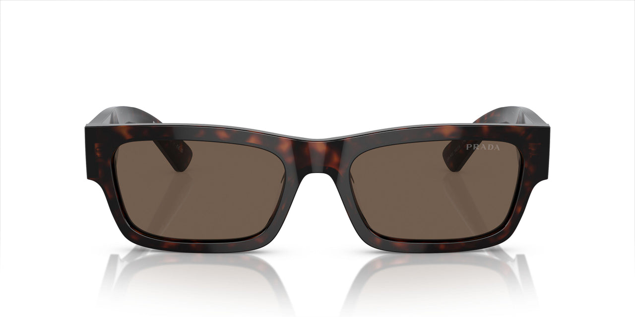 17N08T - Tortoise - Brown