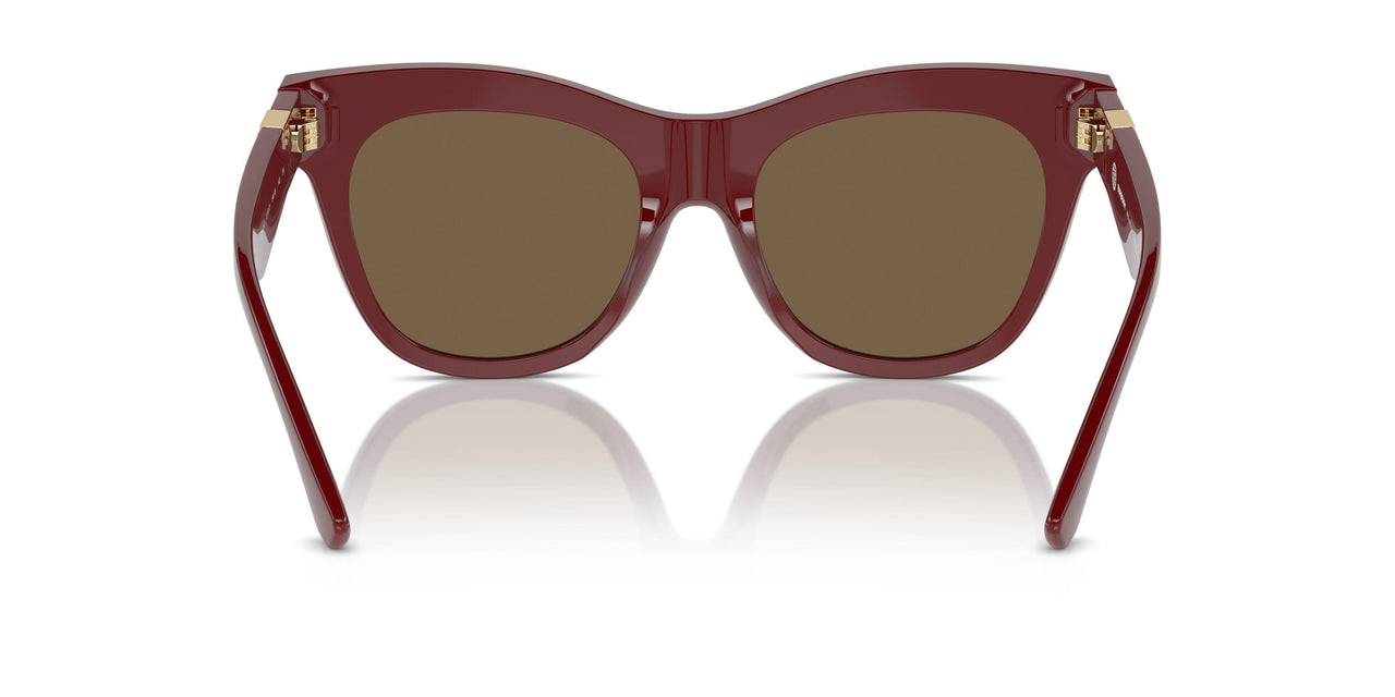411973 - Red - Dark Brown
