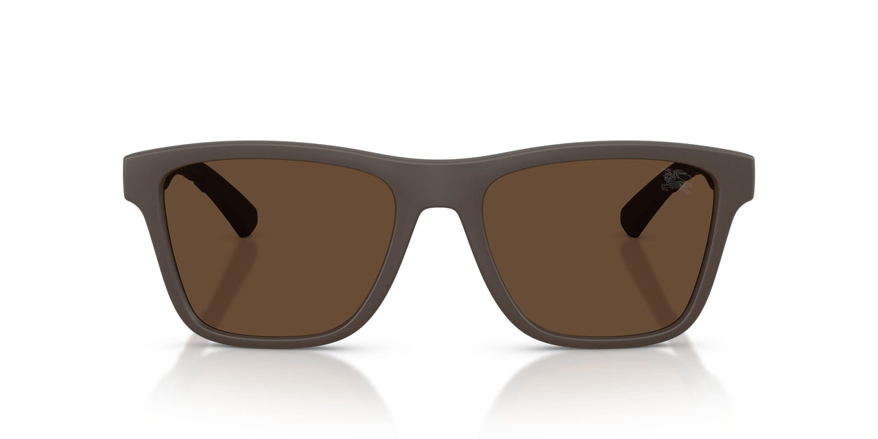 423473 - Brown - Dark Brown