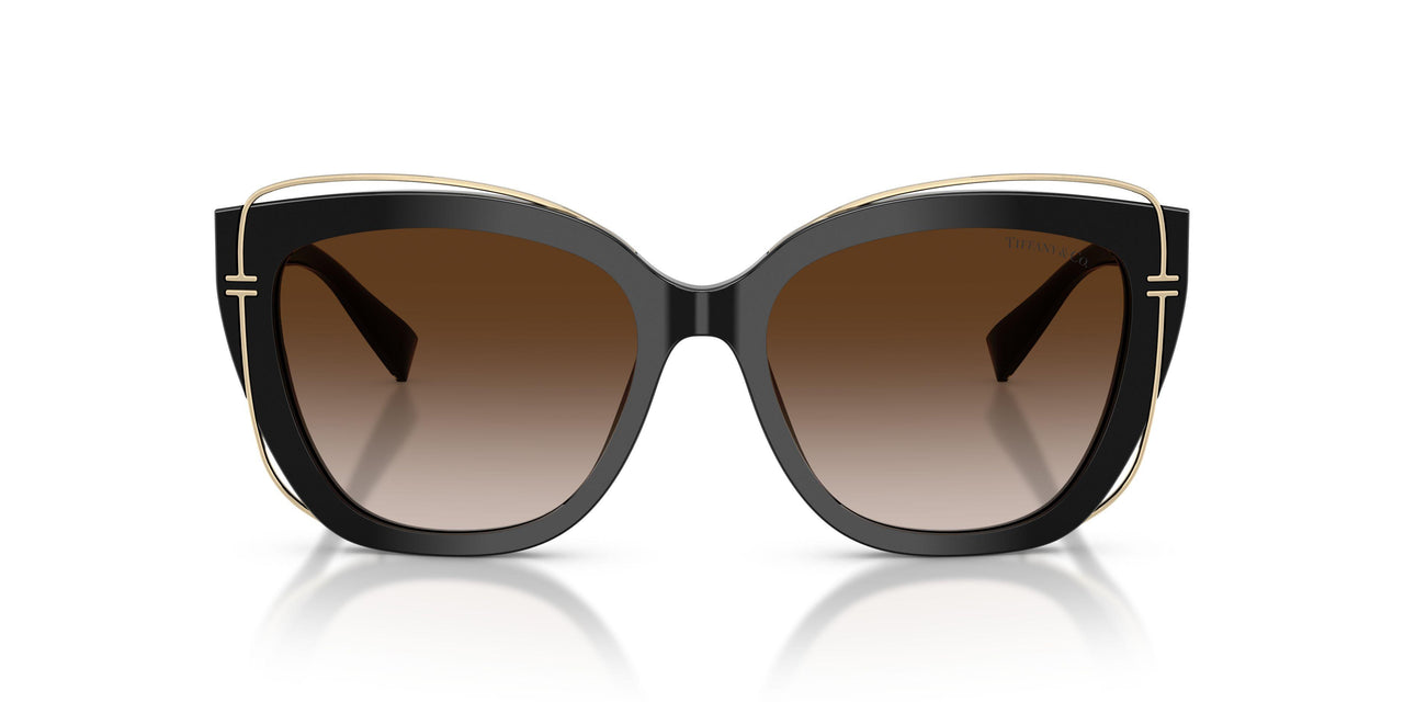 80013B - Black - Brown Gradient